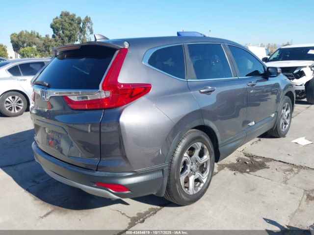 2019 HONDA CR-V 5J6RW1H89KA047816 Photo 3