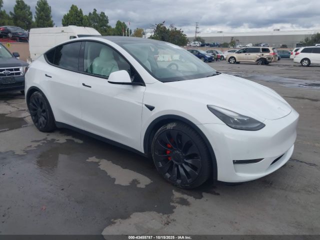 2022 TESLA MODEL Y 7SAYGDEF1NF406965