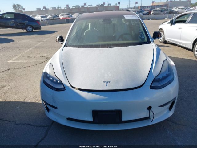 2019 TESLA MODEL 3 5YJ3E1EB4KF231809 Photo 5