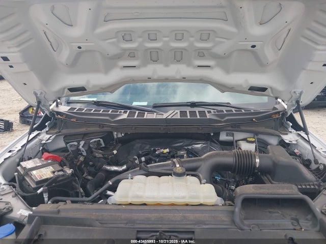 1FTEX1KP6RKD18238 Ford F-150 Xl
