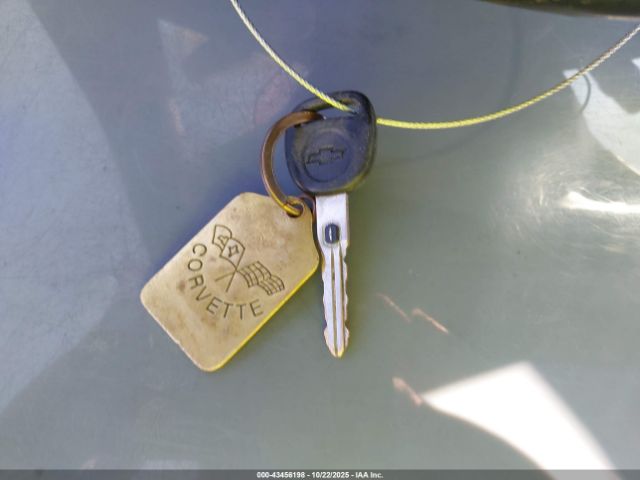 1999 CHEVROLET CORVETTE 1G1YY22G2X5104044 Photo 10