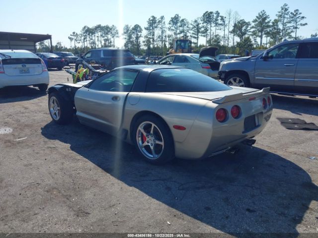 1999 CHEVROLET CORVETTE 1G1YY22G2X5104044 Photo 2
