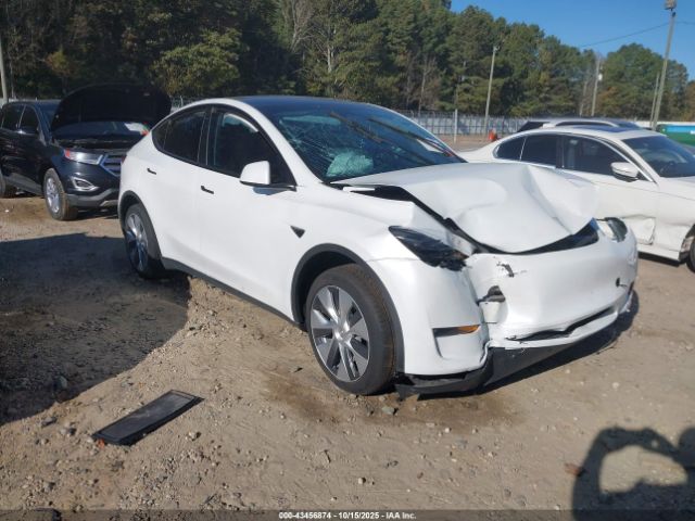 2023 TESLA MODEL Y 7SAYGDEE5PA040340