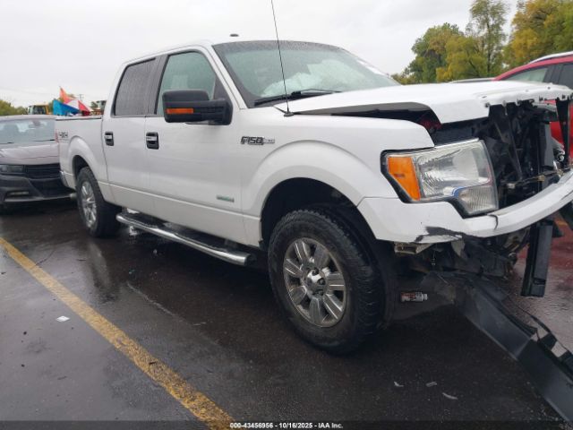 2012 FORD F-150 1FTFW1ETXCFB02697