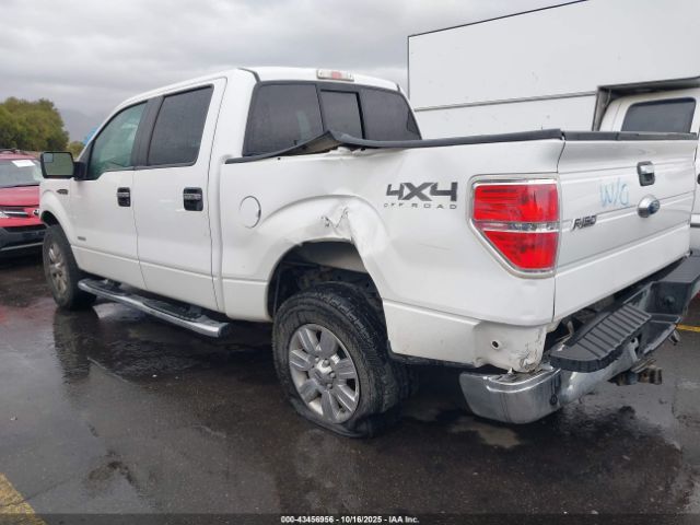 2012 FORD F-150 1FTFW1ETXCFB02697 Photo 2