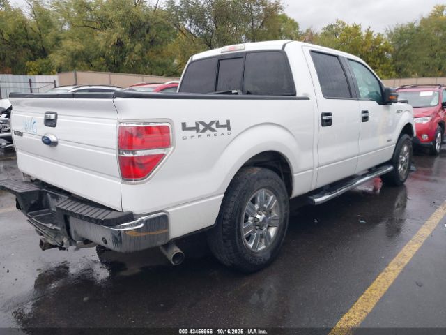 2012 FORD F-150 1FTFW1ETXCFB02697 Photo 3