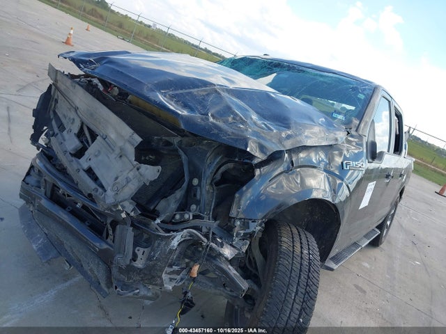 2019 FORD F-150 1FTEW1EP6KKC47918 Photo 5