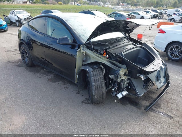 2023 TESLA MODEL Y 7SAYGDEF0PF783208 Photo 0