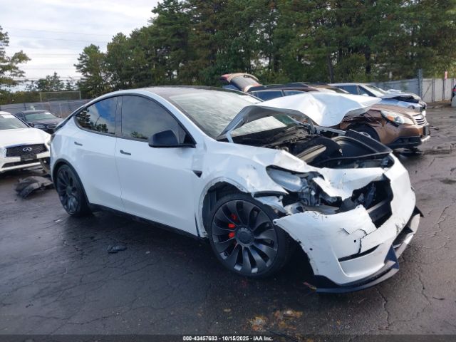 2022 TESLA MODEL Y 7SAYGDEF0NF308736