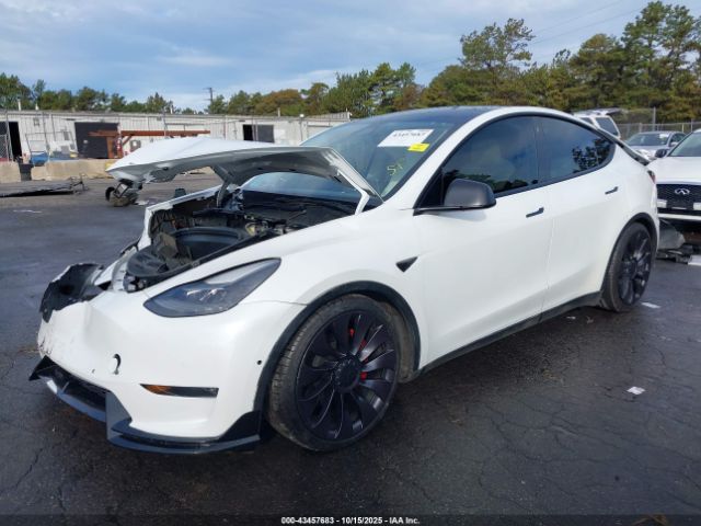 2022 TESLA MODEL Y 7SAYGDEF0NF308736 Photo 1