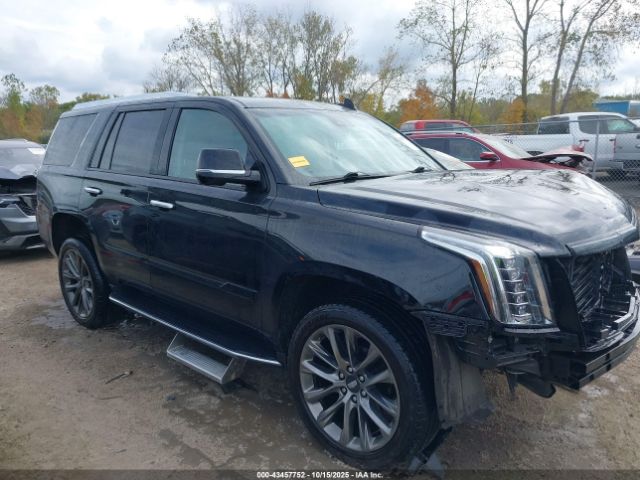 2019 CADILLAC ESCALADE 1GYS4BKJ0KR348758