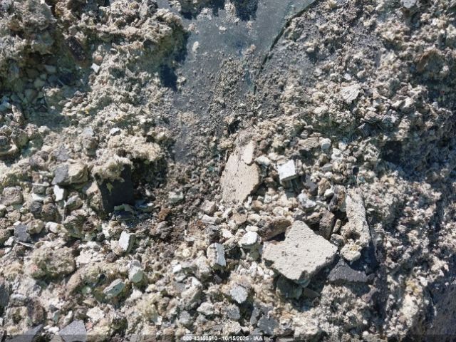 2006 CHEVROLET CORVETTE 1G1YY26U765126538 Photo 8