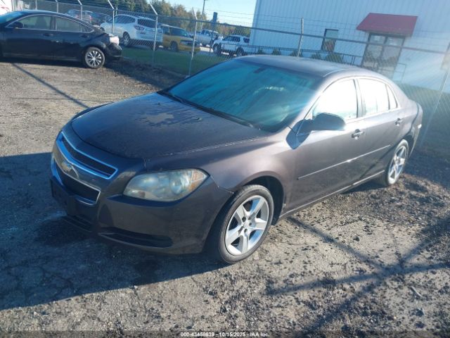 2010 CHEVROLET MALIBU 1G1ZB5EB1AF258687 Photo 1