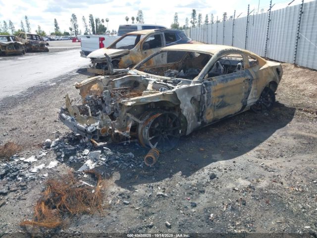 2016 FORD SHELBY GT350 1FA6P8JZ3G5520682 Photo 1