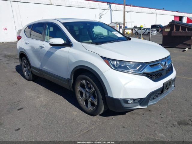 2019 HONDA CR-V 5J6RW2H81KA011981