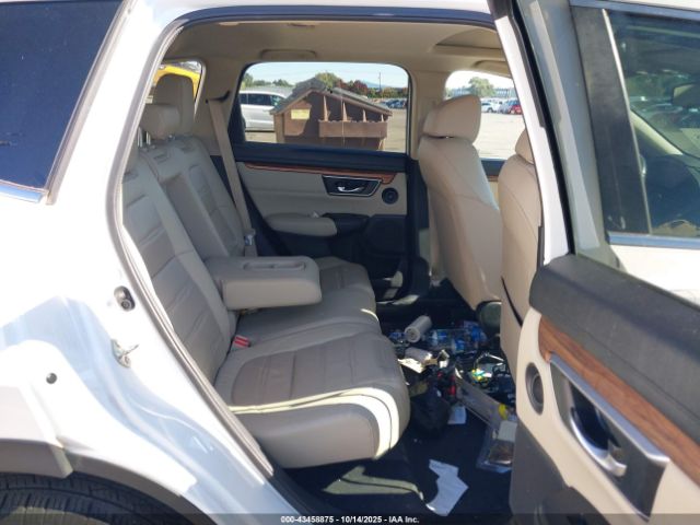 2019 HONDA CR-V 5J6RW2H81KA011981 Photo 7