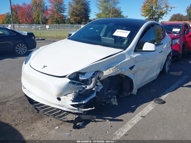 2021 TESLA MODEL Y 5YJYGAEEXMF186341 Photo 1