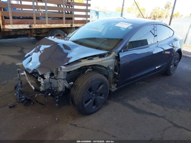 2023 TESLA MODEL 3 5YJ3E1EAXPF506503 Photo 1