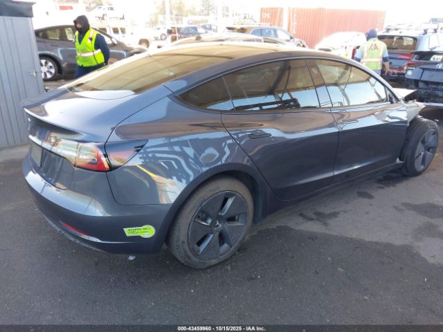 2023 TESLA MODEL 3 5YJ3E1EAXPF506503 Photo 3