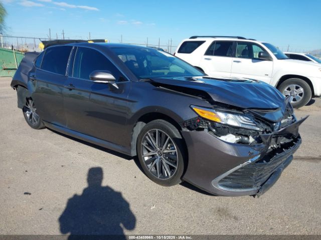 2024 TOYOTA CAMRY HYBRID 4T1F31AK7RU626430