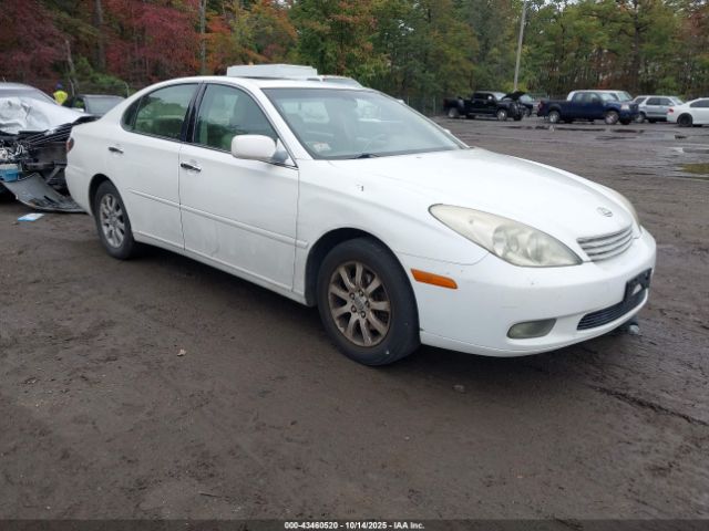 2004 LEXUS ES 330 JTHBA30G145036629