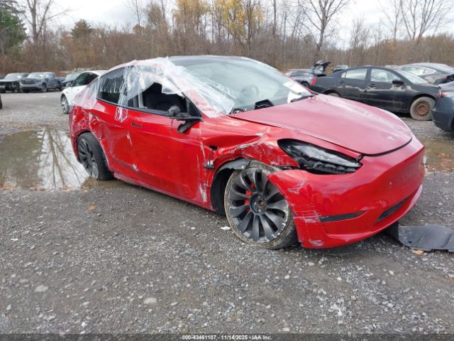 2022 TESLA MODEL Y 7SAYGDEF6NF379665 Photo 0