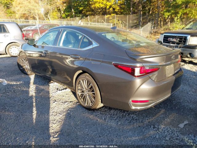 2023 LEXUS ES 250 58AD11D13PU010830 Photo 2