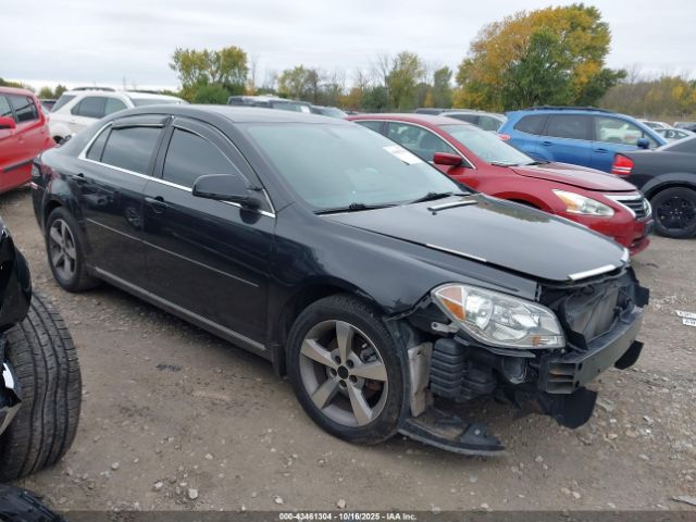 2011 CHEVROLET MALIBU 1G1ZC5E1XBF305687
