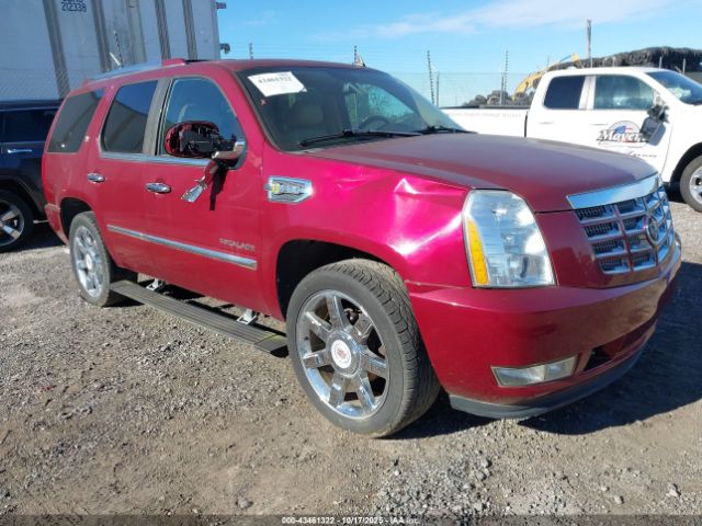 2010 CADILLAC ESCALADE HYBRID 1GYUKEEJ5AR220655