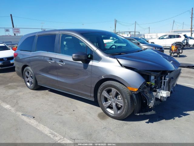 2023 HONDA ODYSSEY 5FNRL6H53PB054759