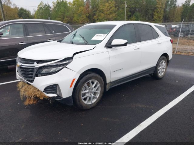 2023 CHEVROLET EQUINOX 3GNAXTEG8PS198912 Photo 1