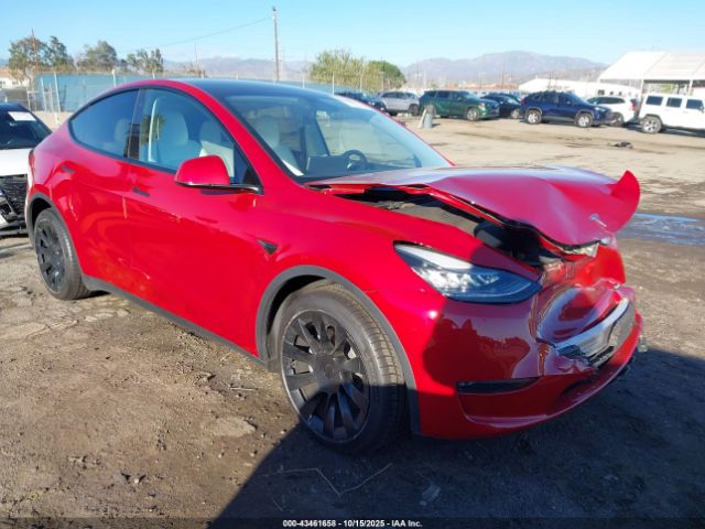 2020 TESLA MODEL Y 5YJYGDEE8LF032825