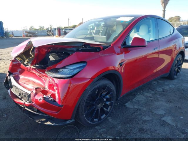 2020 TESLA MODEL Y 5YJYGDEE8LF032825 Photo 1