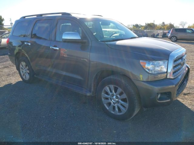 2011 TOYOTA SEQUOIA 5TDDY5G10BS045087