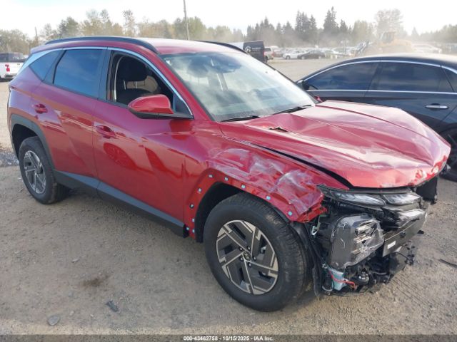 2025 HYUNDAI TUCSON HYBRID KM8JBDD10SU372230