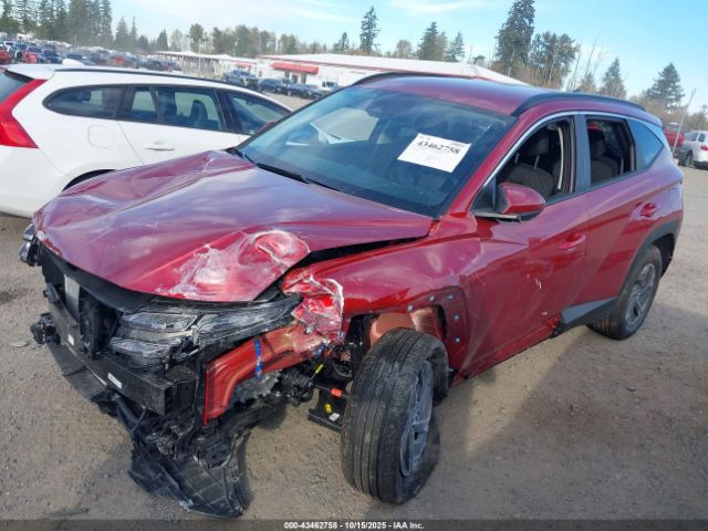 2025 HYUNDAI TUCSON HYBRID KM8JBDD10SU372230 Photo 1