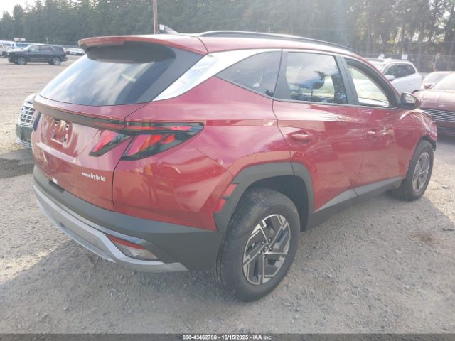 2025 HYUNDAI TUCSON HYBRID KM8JBDD10SU372230 Photo 3