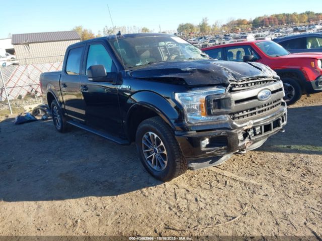 2020 FORD F-150 1FTEW1EP7LKD55773