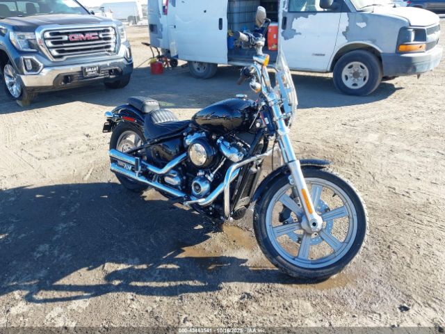 2022 HARLEY-DAVIDSON FXST 1HD1BVJ16NB028477