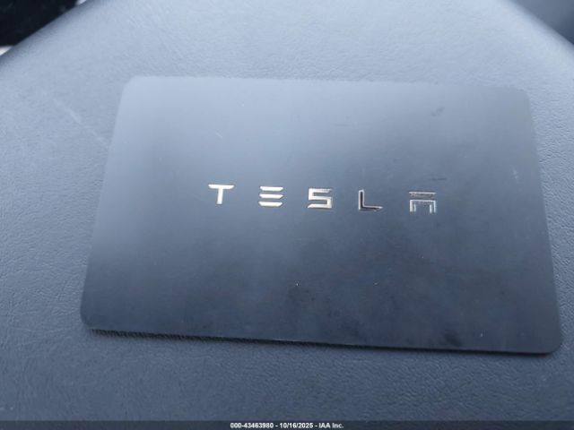 2020 TESLA MODEL 3 5YJ3E1EBXLF664620 Photo 10