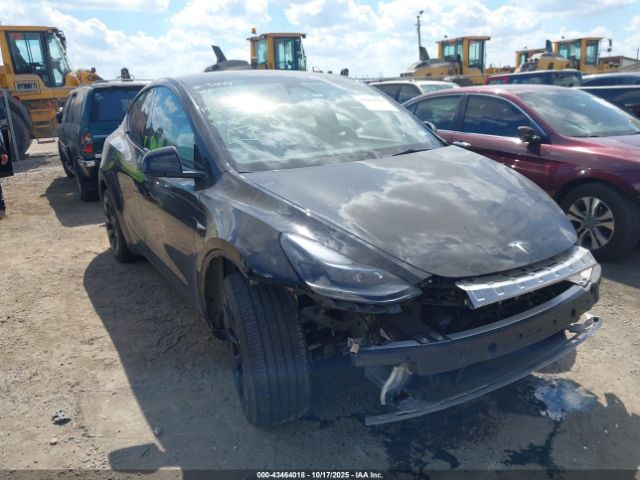 2023 TESLA MODEL Y 7SAYGDEE4PA176345 Photo 0