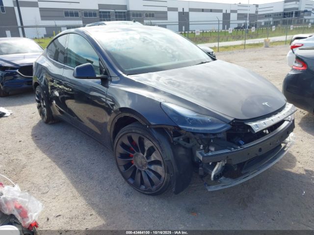 2024 TESLA MODEL Y 7SAYGDEF8RA291235