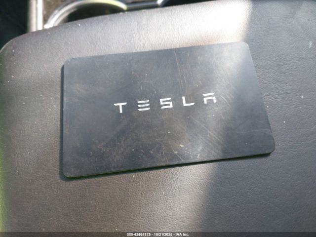 2019 TESLA MODEL 3 5YJ3E1EA3KF300884 Photo 10
