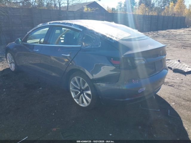 2019 TESLA MODEL 3 5YJ3E1EA3KF300884 Photo 2