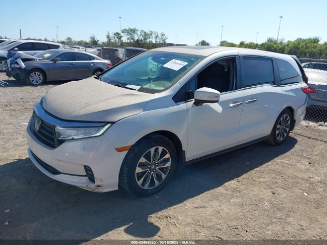 2022 HONDA ODYSSEY 5FNRL6H77NB021911 Photo 1