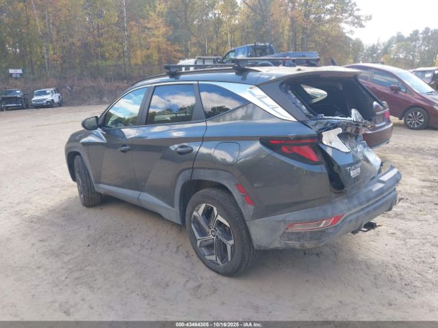 2024 HYUNDAI TUCSON PLUG-IN HYBRID KM8JBDD28RU147928 Photo 2