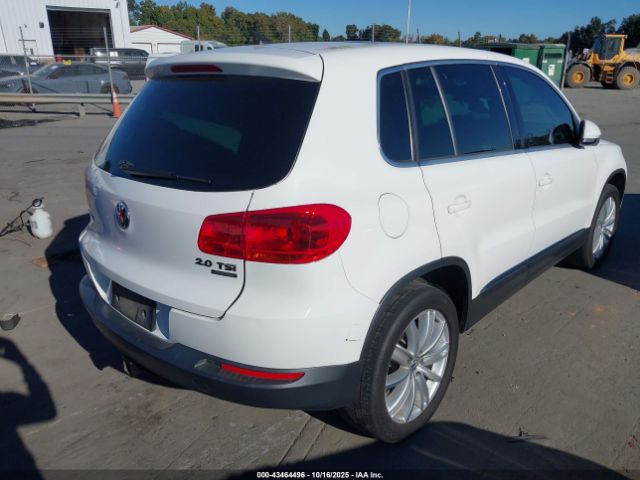 2013 VOLKSWAGEN TIGUAN WVGBV7AX9DW518590 Photo 3