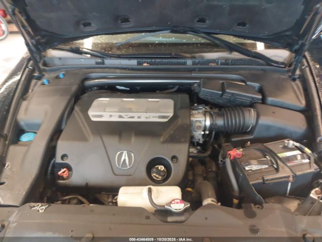 2008 ACURA TL 19UUA66208A035610 Photo 9