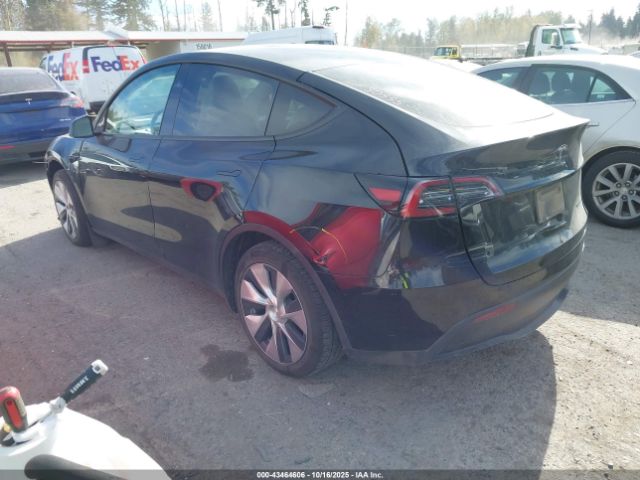 2023 TESLA MODEL Y 7SAYGAEE2PF884658 Photo 2