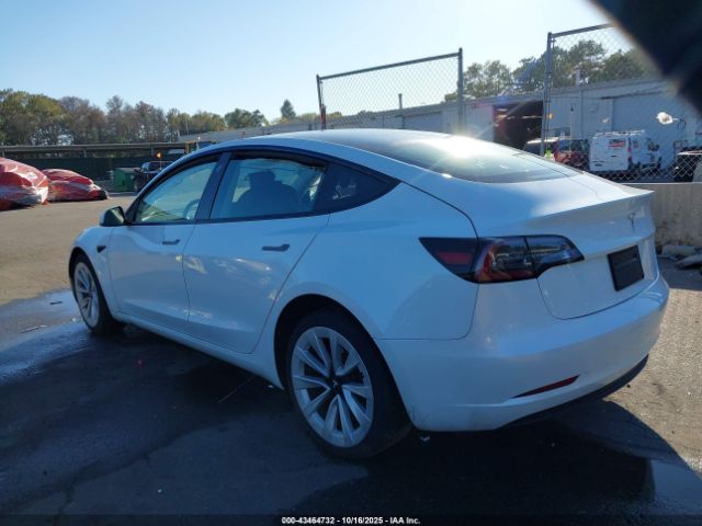 2023 TESLA MODEL 3 5YJ3E1EA7PF430111 Photo 2